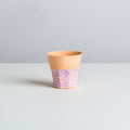 *mini* old but new - koi/melon/lilac