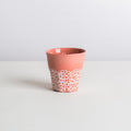 *mini* old but new - koi/grapefruit/coral