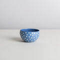 coconut Small - azure/white-dot